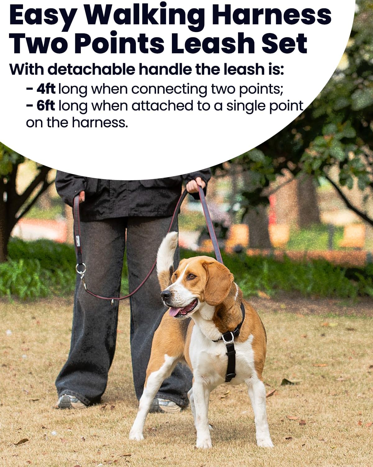 No Pull Dog Harness with Two Points Control Leash Set, Neck Buckle, Aluminum D-Rings, 6 Points Adjustment, Easy Walking and Training, Leash with 2 Clips (Harness-Leash Set, L)