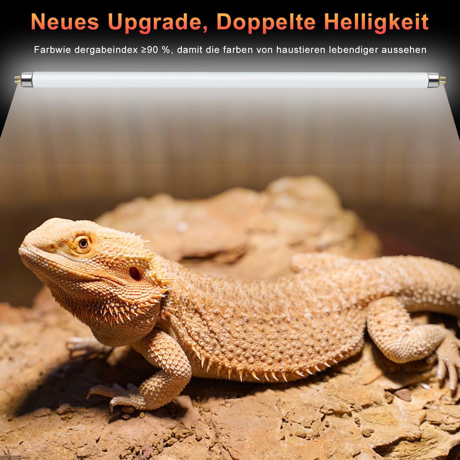 LUCKY HERP T5 UVB Lampe Terrarium, UVB 10.0 Reptilien Leuchtstoffröhre 8W-2stück, UVA UVB Terrarium Lampe für Eidechsen, Schildkröte, Chamäleon, Leopardgecko
