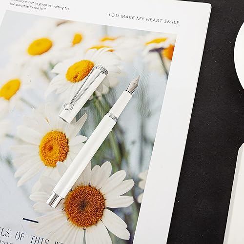 Vista 20 de AIHAO Pluma estilográfica recargable, punta fina, pluma estilográfica de metal con caja de regalo, tinta negra, 2 cartuchos de tinta en un juego