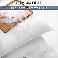 Vista 4 de OTOSTAR Juego de 4 rellenos de almohada de 18 x 18 pulgadas, rellenos de almohada cuadrados decorativos, fundas de almohada esponjosas de primera