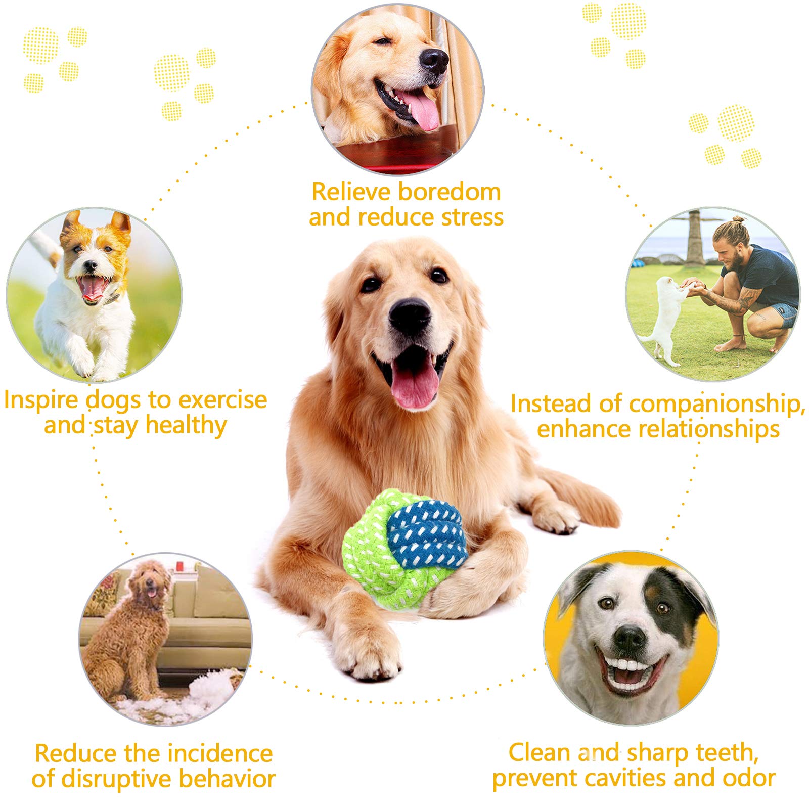 Jouet Pour Chien Hide & Seek - Lot De 6 Peluches Couineuses + Tronc - Stimulation Mentale - 5
