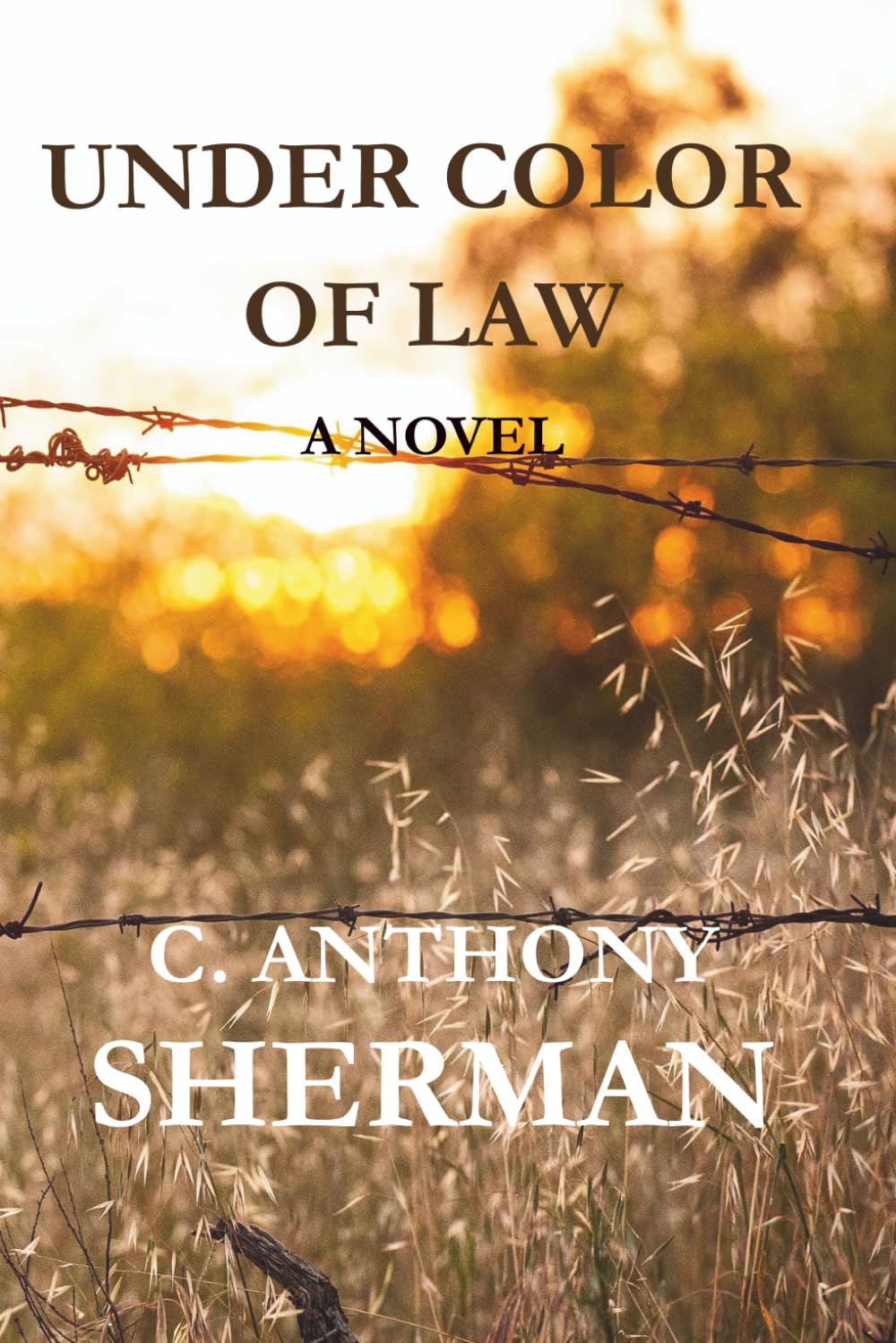 UNDER COLOR OF LAW (THE INHERITANCE SERIES)