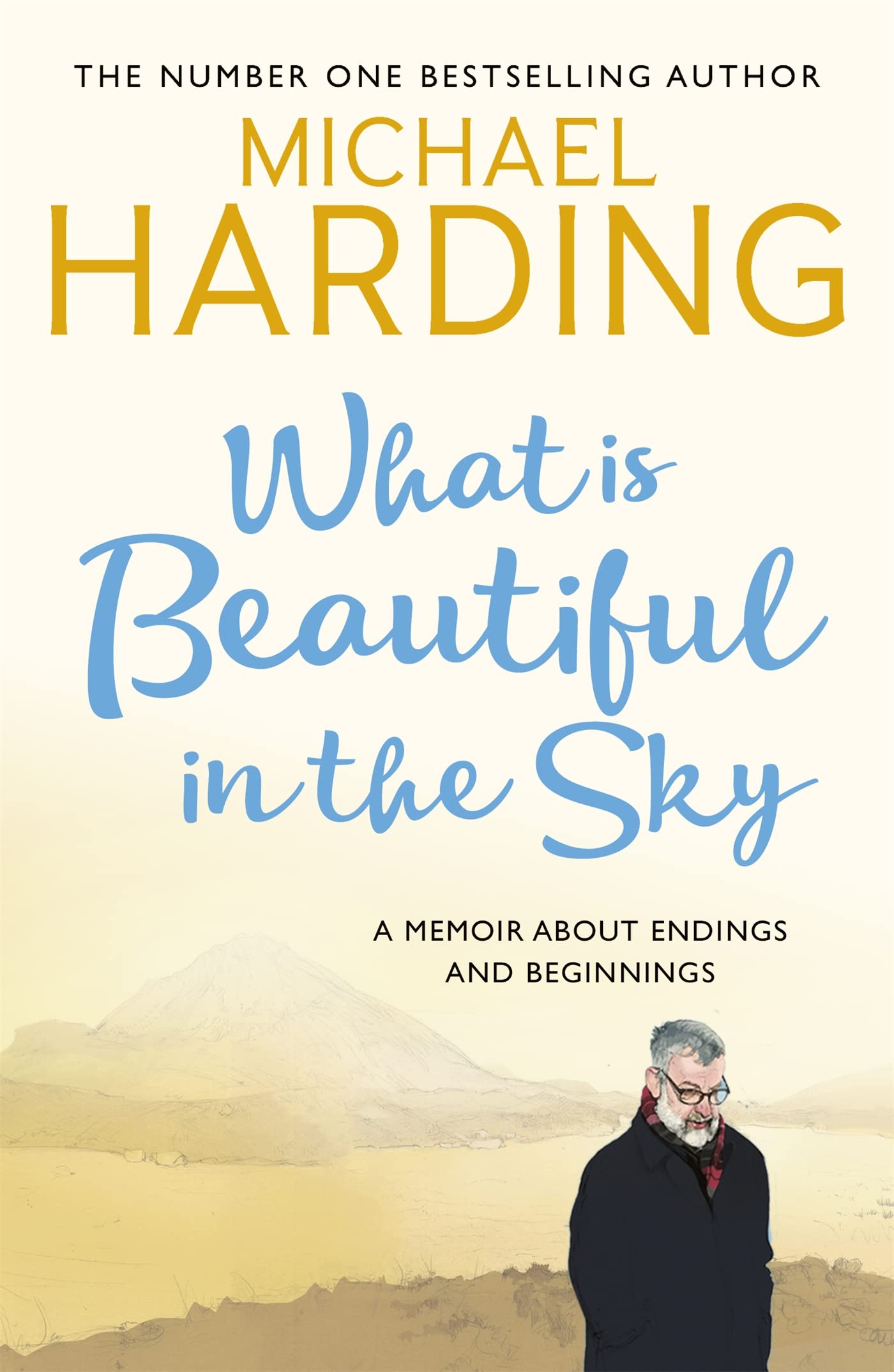 What is Beautiful in the Sky by Michael Harding - 9781473691025