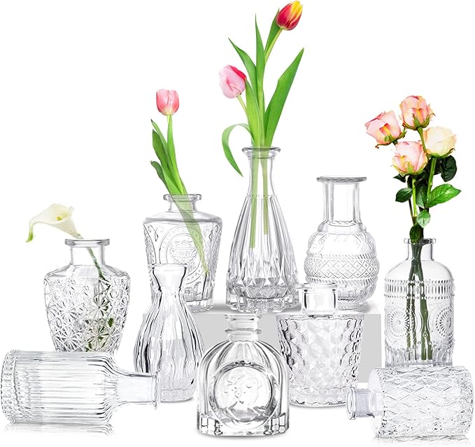 WITOP Glass Bud Vase Set of 10 Small Vases for Flowers,Clear Bud