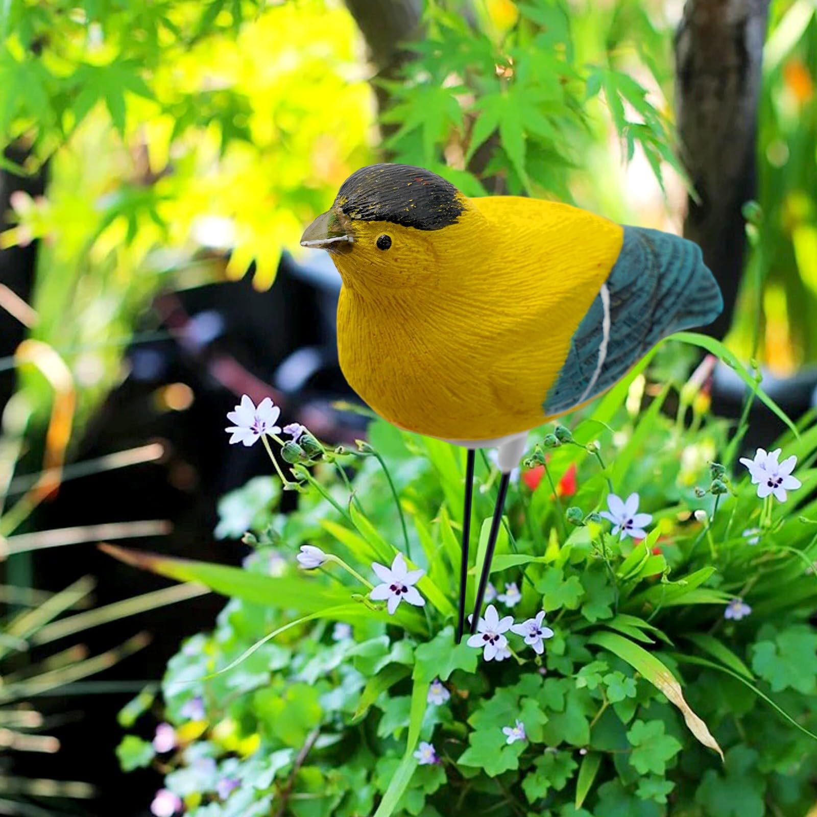Risveglio Plant Watering Alarm Soil Moisture Meter, Singing Bird Hygrometer Sensor with for Auto Night Off Garden Indoor Pots