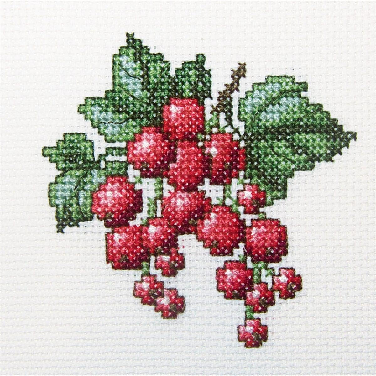 RTO H252 Red Currant Cross Stitch Kit, Cotton, Multi-Colour, 10 x 10 cm