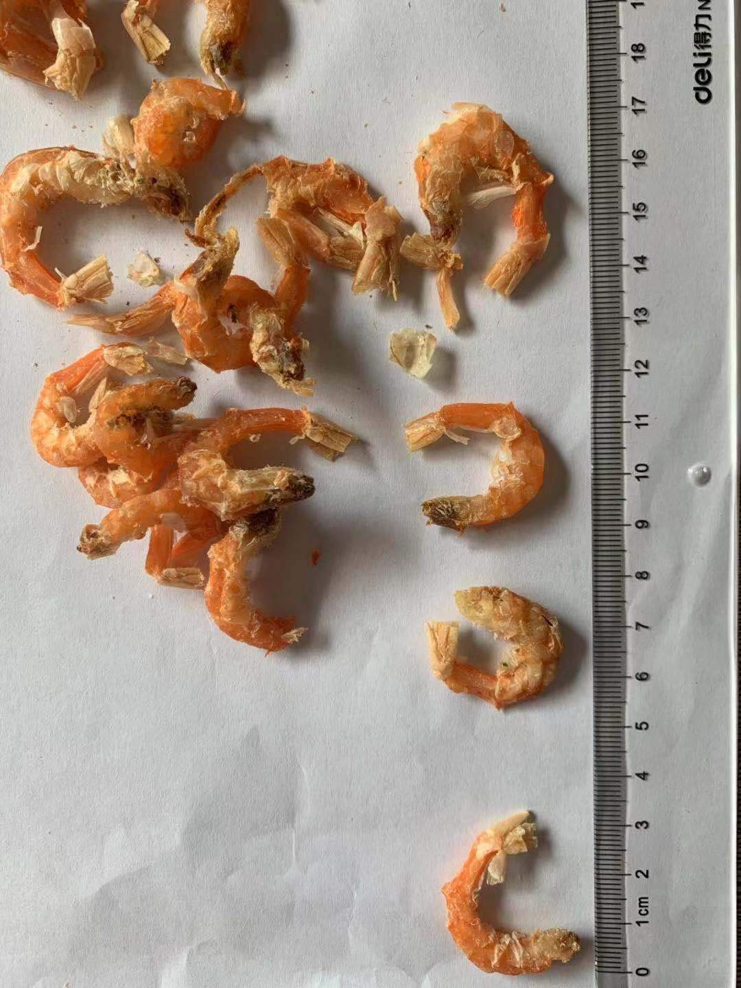 Gamberetti secchi Buono per zuppe e cucinare (1000g)