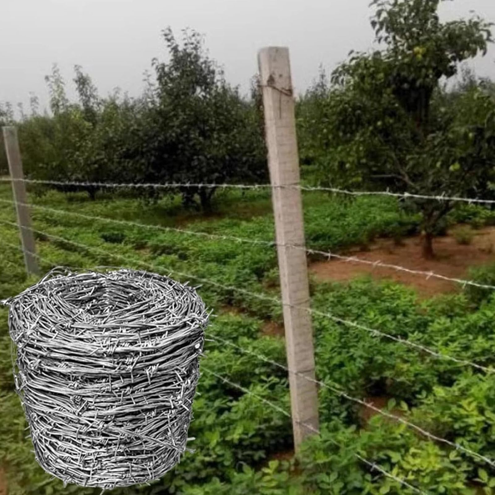 Alambre De Espino, Rollo De Alambre De Púas, 4 Puntas Acero Galvanizado Alambre De Púas Multiusos Rollo De Alambre Práctico y Duradero para Proteger Su Jardín O Patio (200M)