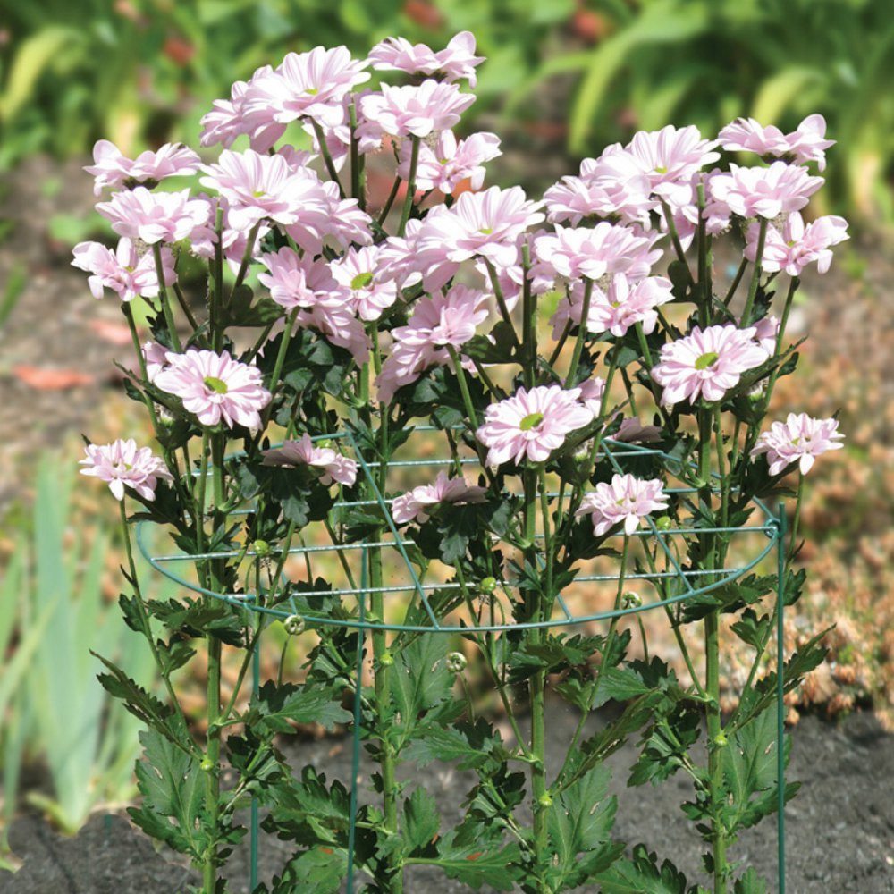 Bosmere E632 Flower Frame Support, 18-Inch Grid by 36-Inch Legs