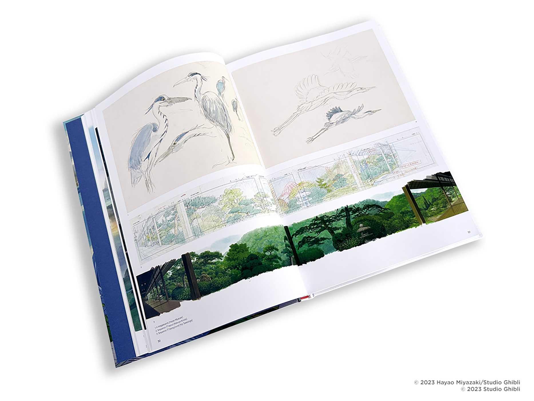 The Art of the Boy and the Heron