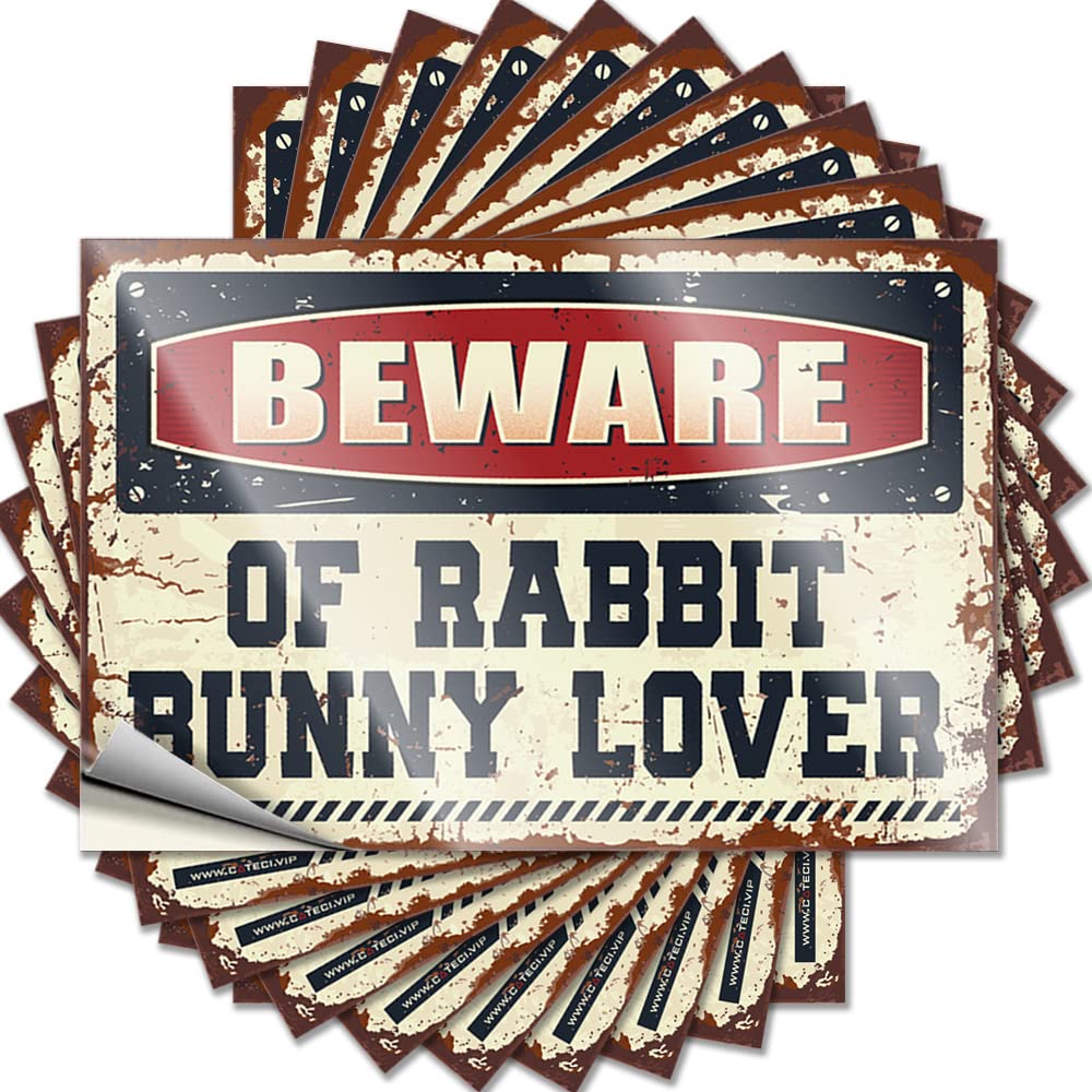 Beware of Rabbit Bunny Lover Tattoo Stuff for Men | Summer Bottle Removable Decal Pack(6X9CM)