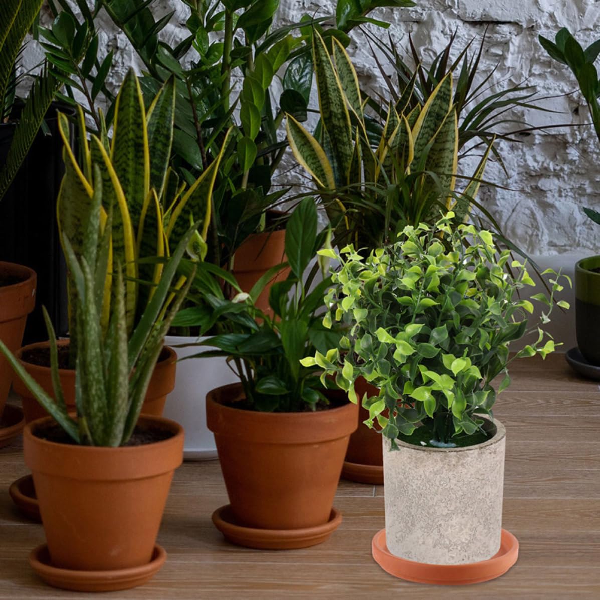 Alipis 4 Stück Runder Terrakotta Untersetzer aus Argil 18cm für Pflanzgefäße mit Wasserablauf und Stabilem Stand für Zimmerpflanzen und Blumentöpfe