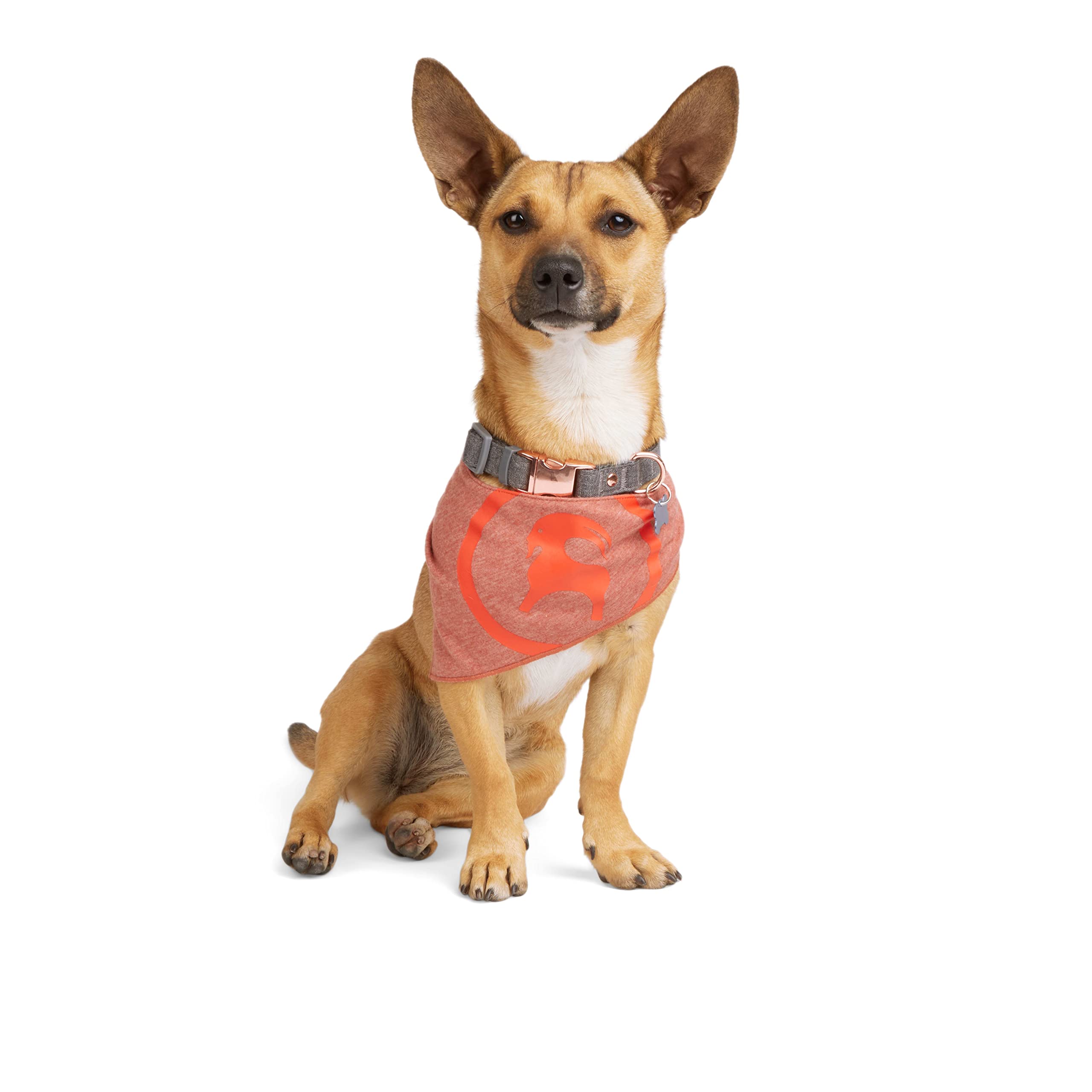 Petcobackcountry X The Dog Bandana Large X Large Desertcart Cyprus