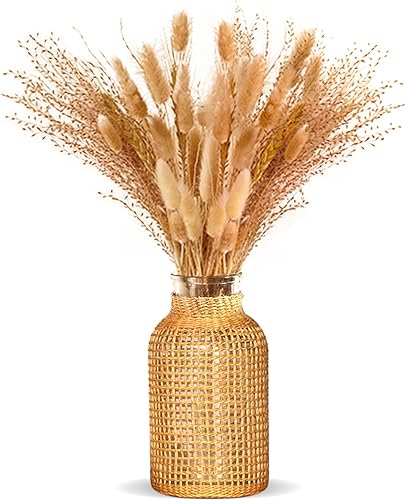 ZENS Jarrón de cristal de granja, jarrón rústico tejido a mano para decoración del hogar con flores secas de pampas. Jarrones de vidrio decorativos