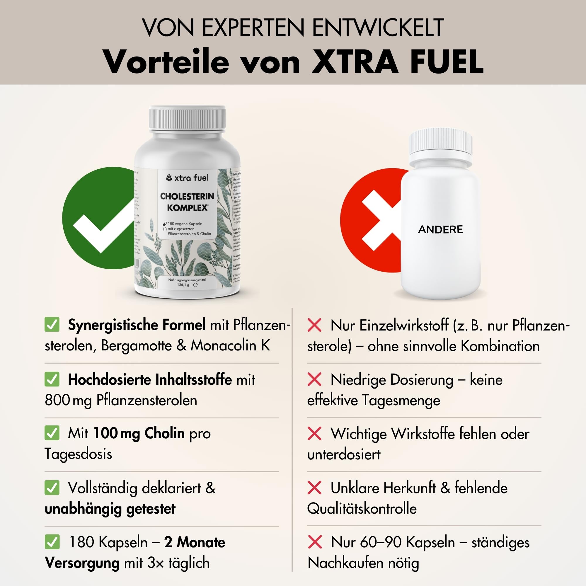 Cholesterin Komplex mit Pflanzensterolen & Cholin – 180 vegane Kapseln (hochdosiert) – Bergamotte, Artischocke & Rotschimmelreis Extrakt mit Monacolin K – vegan & laborgeprüft