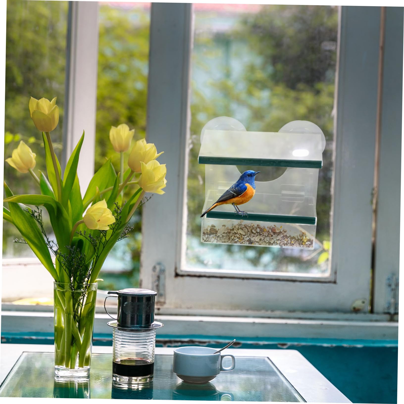 Comedero para Aves De Acrílico Alimentador De Pajaritos Transparente para Ventana y para y Decoración Exterior