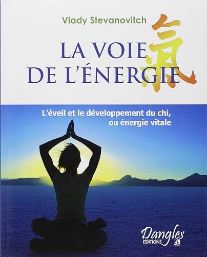 Voie de l'énergie : développement du chi