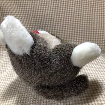 Amazon.co.jp: ダヤン ぬいぐるみ わちふぃーるど リボン 高さ約