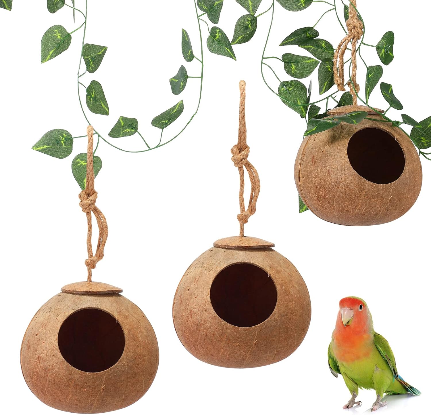 Coconut Bird Nest Hut