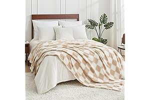 Queen-Sized Comfort: Snuggle Under the Cozy Bliss Beige Checkered Blanket