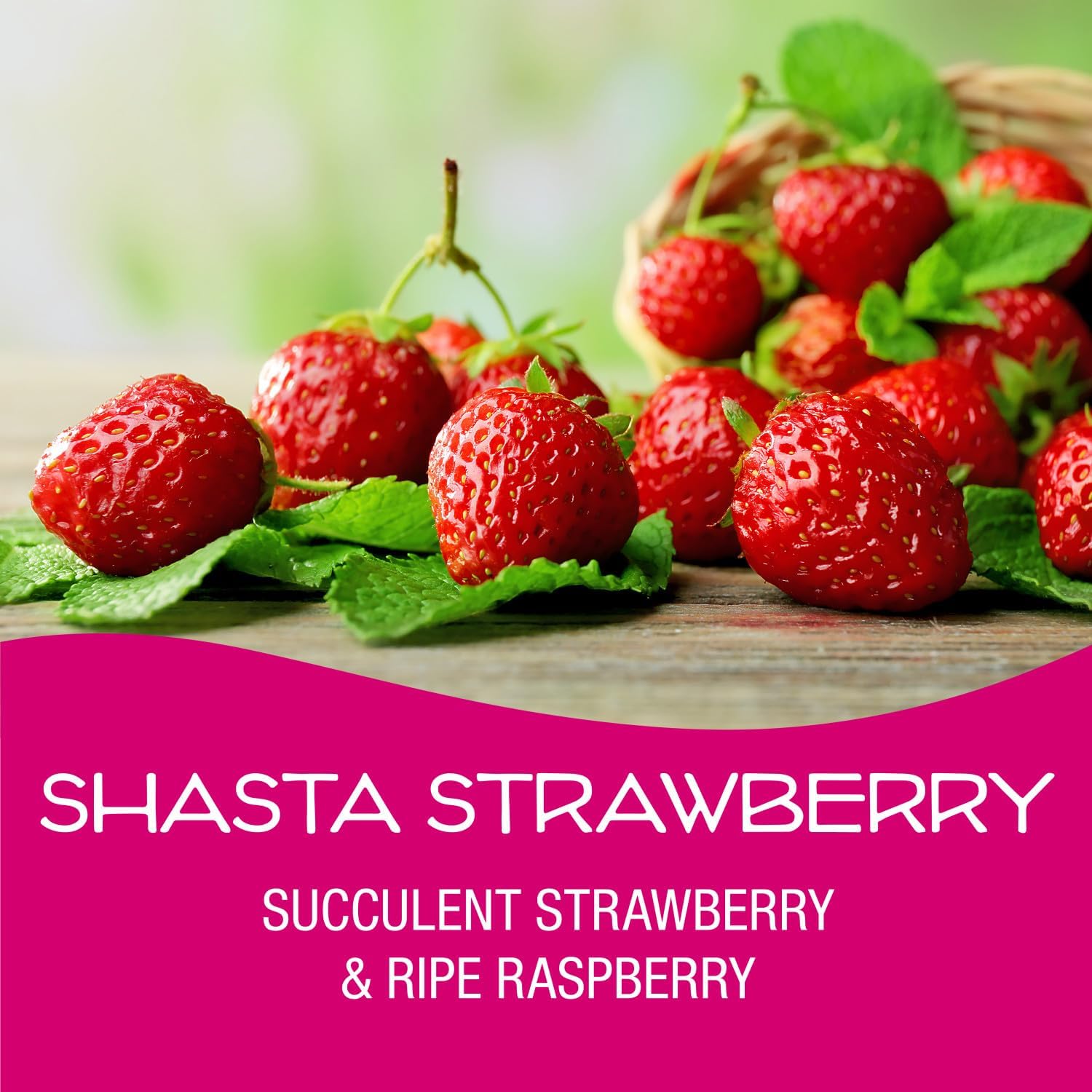 California Scents Palms Paper Shasta Strawberry Air Freshener