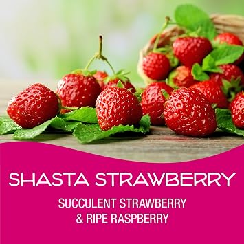 California Scents Palms Paper Shasta Strawberry Air Freshener