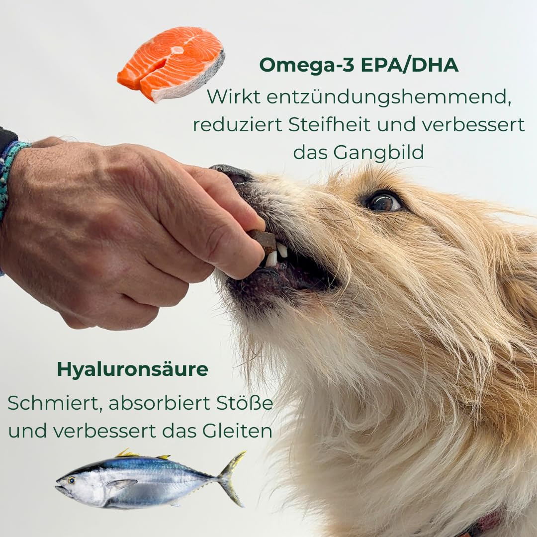 Entzündungshemmendes Chondroprotektor für Hunde Ortocanis – 13 in Aktivstoffe: Glucosamin, Chondroitin, MSM, Omega-3 EPA + EVA, Kurkuma, Boswellia Serrata, Kollagen, Vitamin E, C, Magnesium