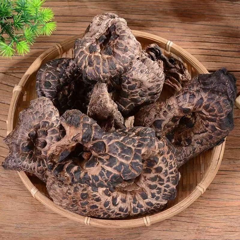 Amazon.co.jp: JINQI 天然香茸 コウタケ 乾燥香茸 天然きのこ サイズ