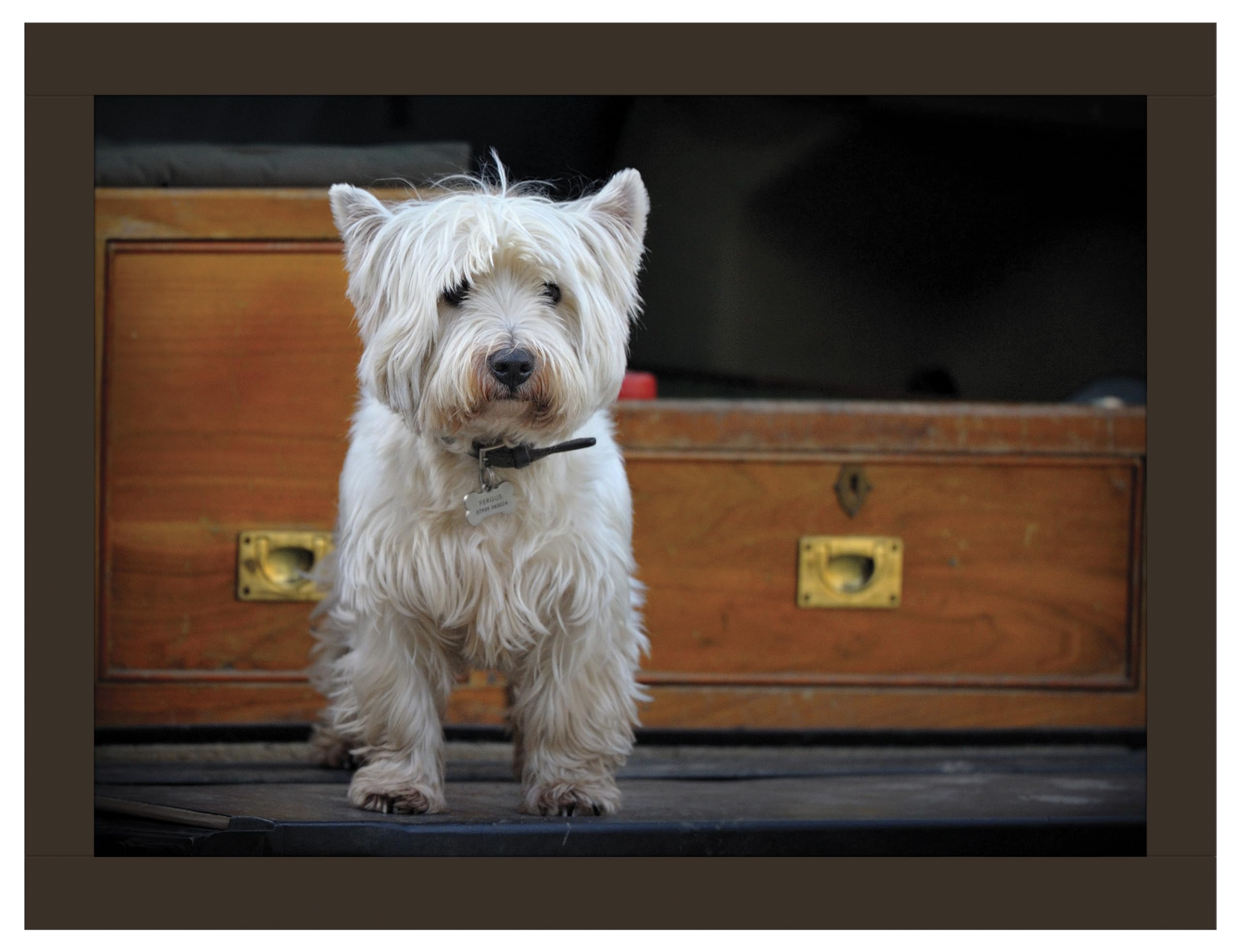 Rural Roots Westie Road Trip Faux Leather Lap Tray