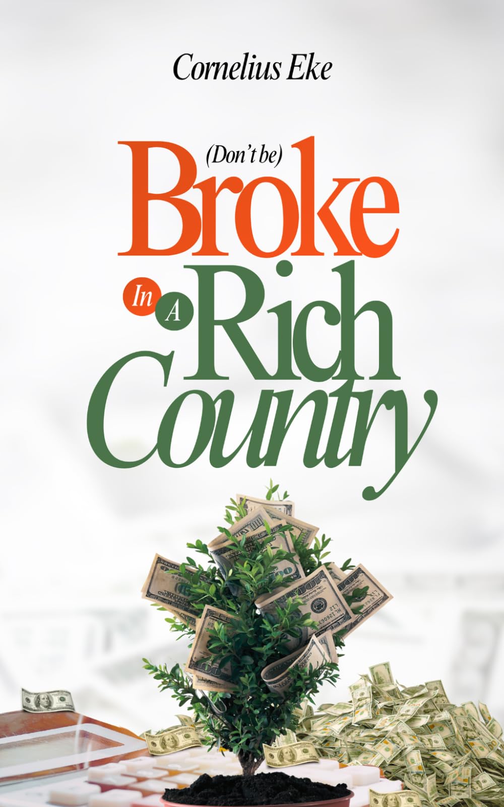 (Don’t Be) Broke in a Rich Country