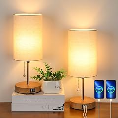 Lakumu Set of 2 Table Lamps with 2 USB Ports Modern Bedside Desk Lamps with Pull Chain Nightstand