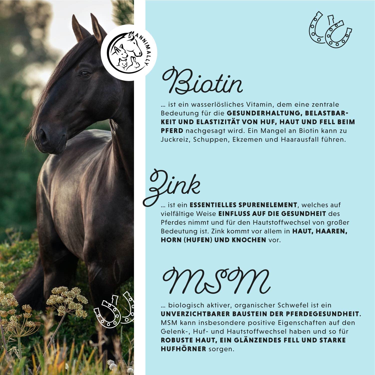 Annimally Pferd Biotin Zink Liquid 1000ml - Pflege für Haut, Haare & Hufe für Pferde - Biotin, Zink und MSM flüssig für EIN gesundes Fell - Fellpflege & Hufpflege für Pferde