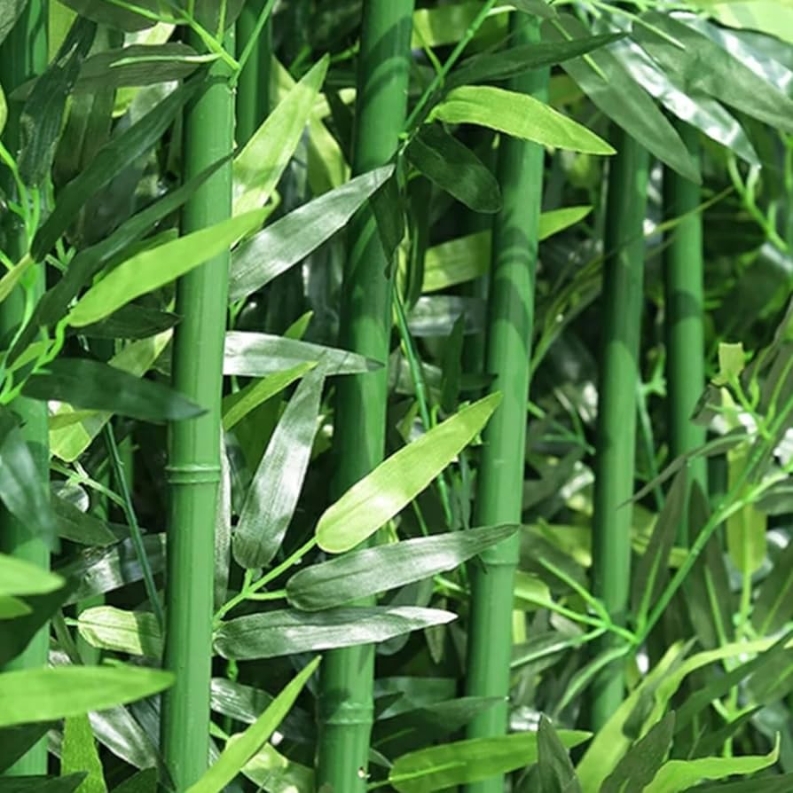 BAMBOO 2024.6〜2025.1 Bamboo | Bambu Lab US Store