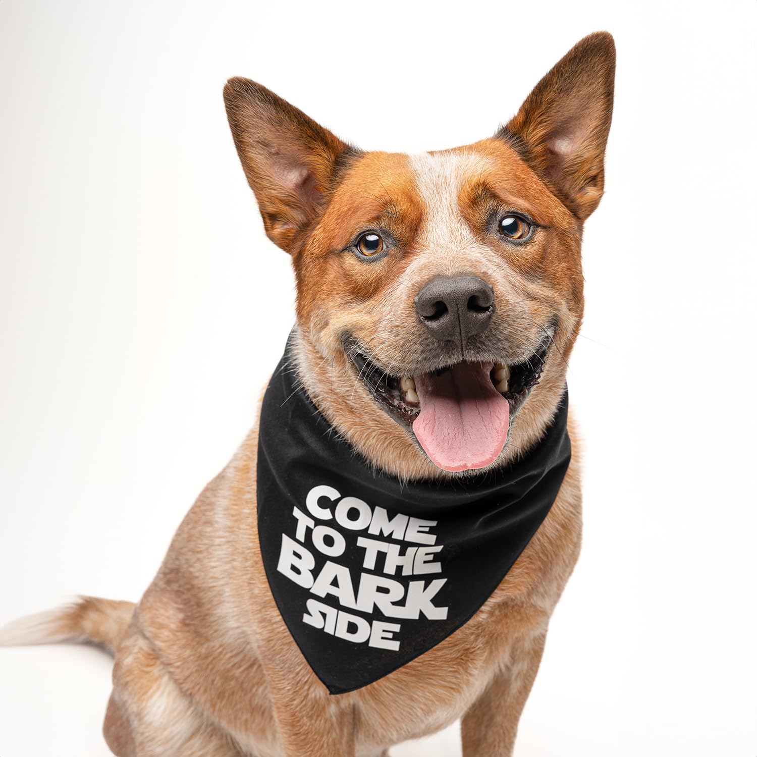 Come to The Bark Side Dog Bandana (Camo, OS 104)