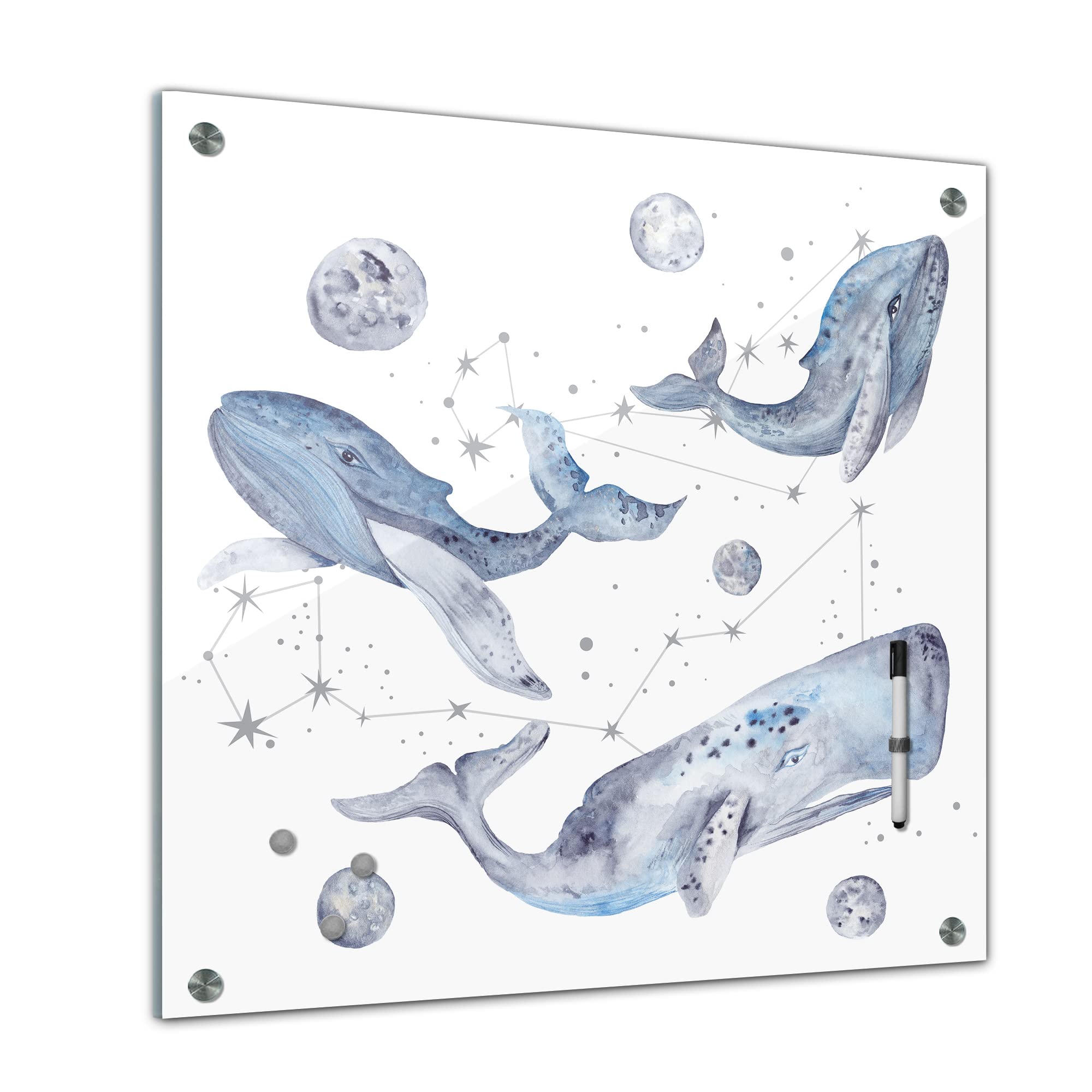Tableau mémo 40 x 40 cm | Motif enfant | Aquarelle – Baleine | Tableau magnétique en verre lavable avec support magnétique | dans différents designs pour filles & garçons – Chambre d'enfant | 1330b