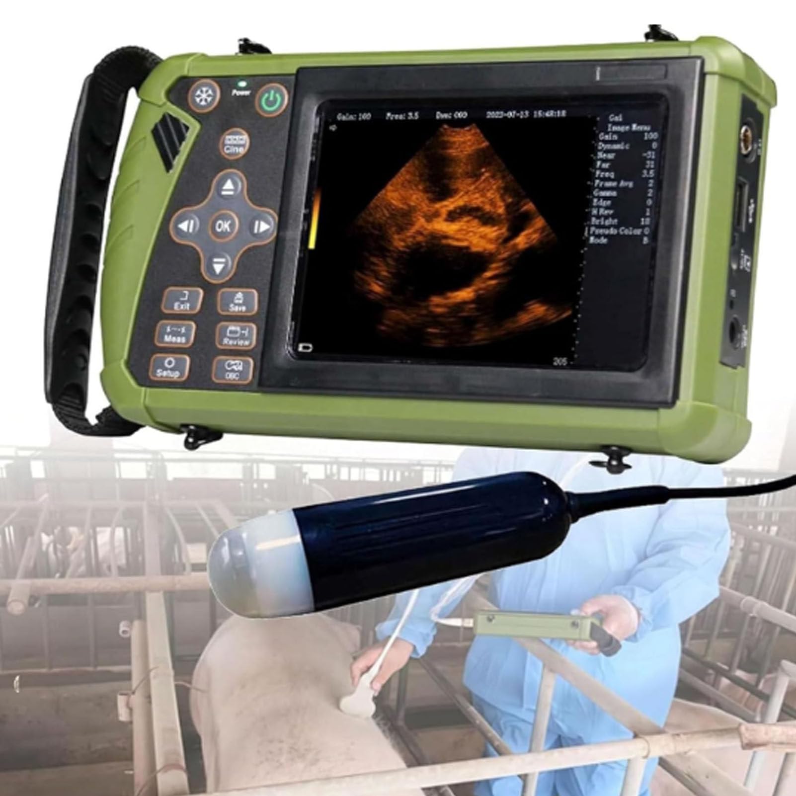 Ecografo Veterinario, apparecchio Portatile a ultrasuoni B con sonda da 3,5 MHz, Display LED da 5,6 Pollici per l'imaging di maiali, Pecore, Cani e Gatti in Gravidanza