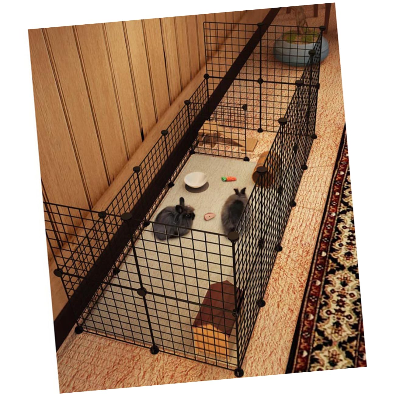 Cage pour chiens COLLBATH transportable pour les vacances en famille