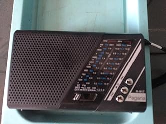 PAGARIA Portable FM/AM/SW Radio with 5 Watts Sound, Bluetooth/USB/TF ...