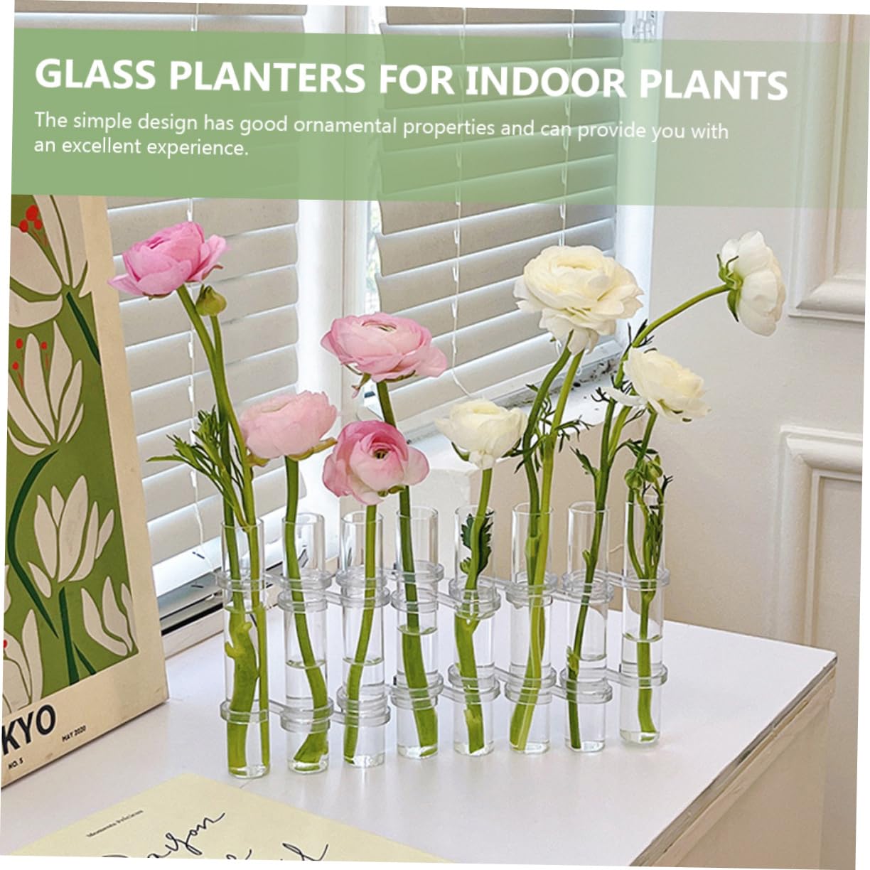 Vase à Tube à Essai en Verre Transparent, 1 Set, pour Plantes