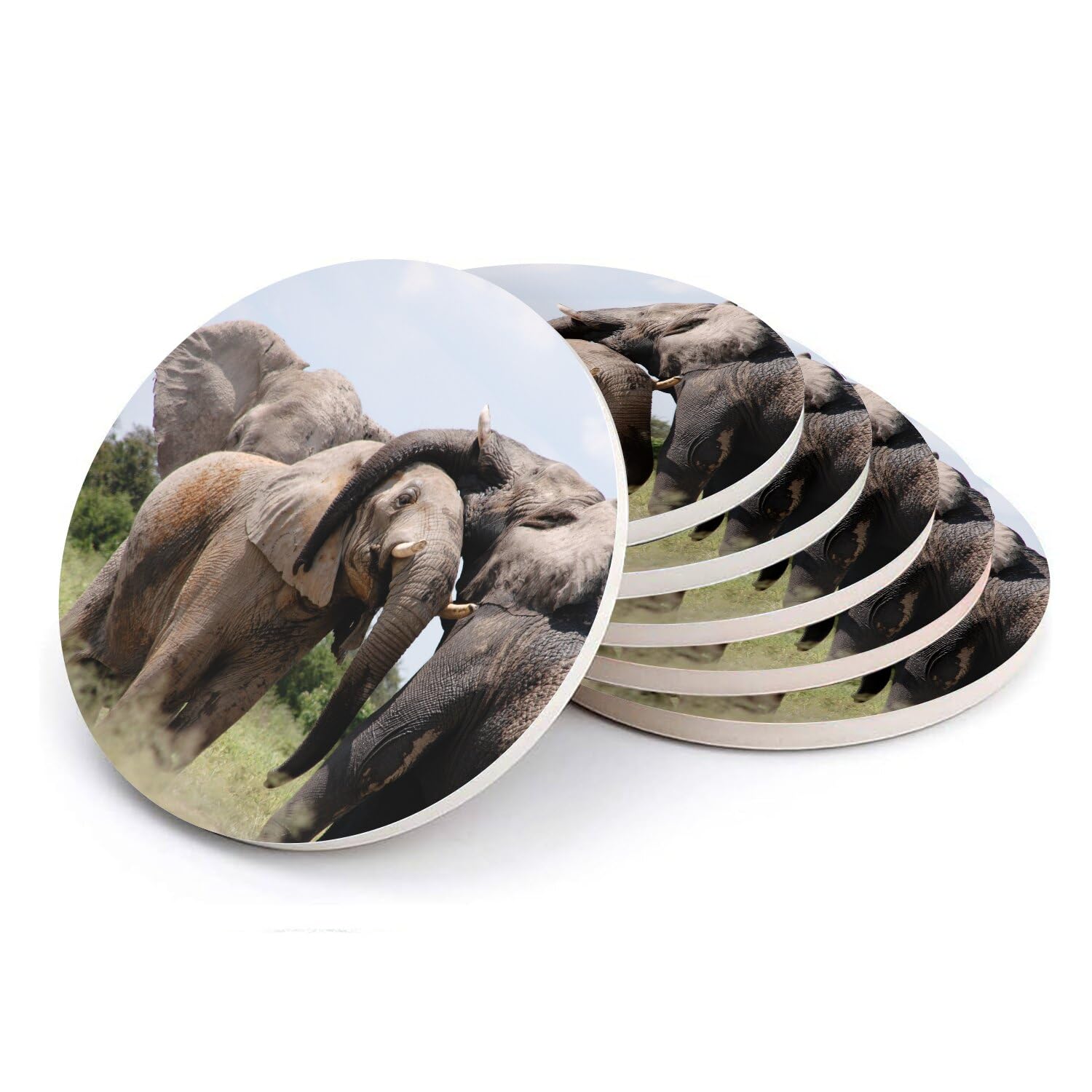 Sous-verre ronds en céramique pour apéritif lot de 6 motif éléphant d'Afrique