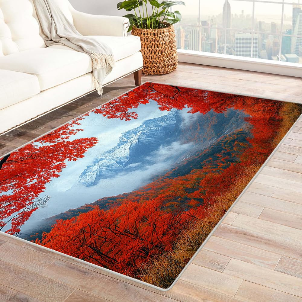 Carpette salon lavable et antidérapante motif montagnes 3D 60x90cm