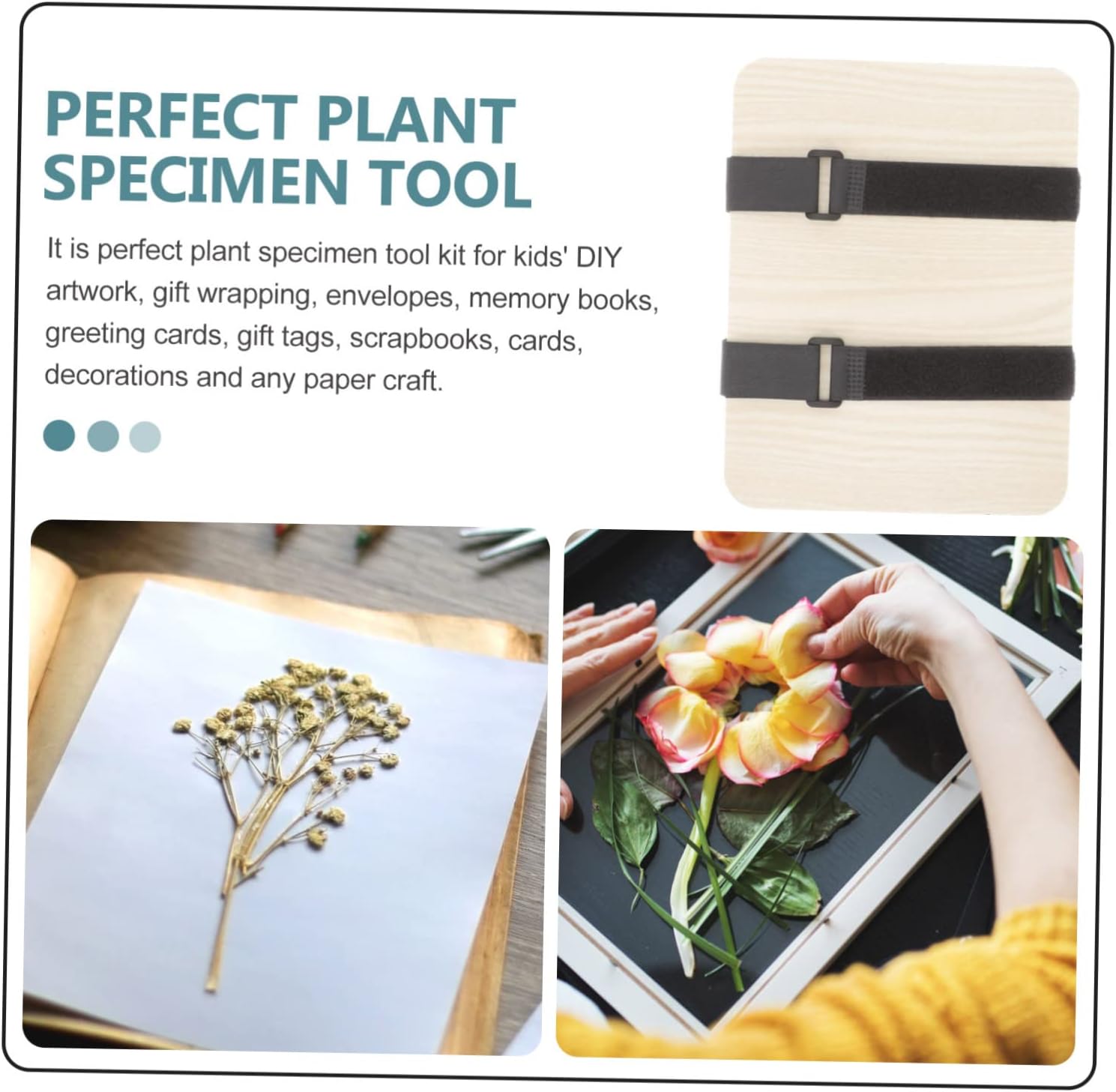 HOMOBABE 1set Multipurpose Flower Press Kit Professional Plant Specimen Tool Set for Drying Flowers Leaves and Fruits Reusable Absorbent Board for Quick Drying for Crafting and Outdoor