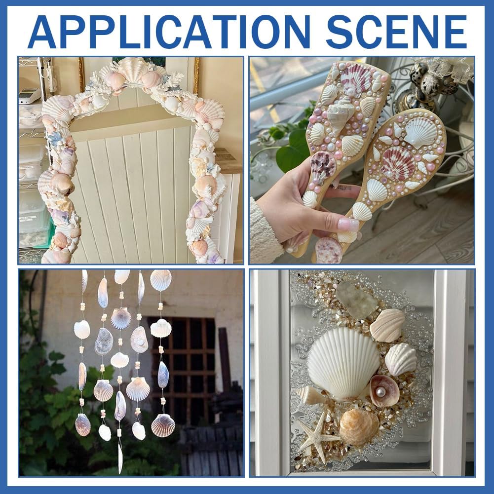 40Pcs 2 Inch Natural Scallop Shells White Seashells Small Summer Beach Genuine Scallop Holiday Sea Shells for Crafting Painting Wedding Ocean Themed Party Decoration Fish Tank Vase Filler