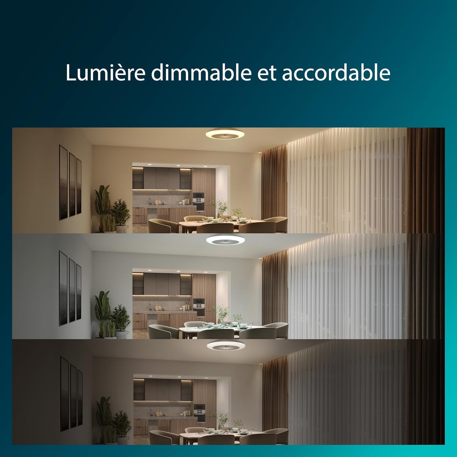Ventilateur de plafond et plafonnier LED Philips Amigo, 20W+40W, diamètre 49cm, rond, avec télécommande, blanc