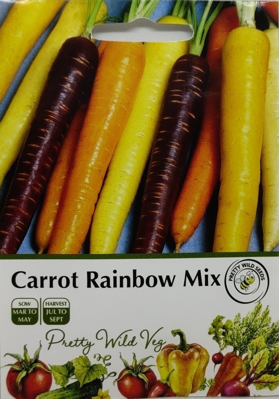 Carrot Rainbow Seed Mix in Pictorial Packet - 500 Seeds - Bright Colours - Orange, White, Purple, Red - Packed in The UK by Pretty Wild Seeds