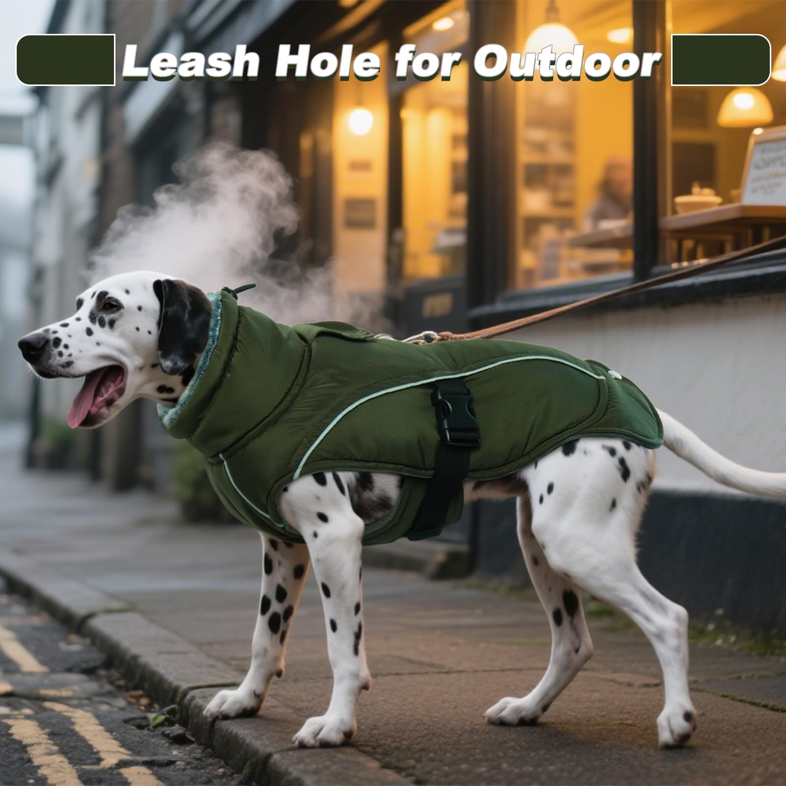 DENTRUN Abrigos para perros para clima frío, abrigo cálido para perro, resistente al viento, chaqueta acogedora para perro, chaleco de forro polar grueso, ropa repelente al agua con arnés/agujero para
