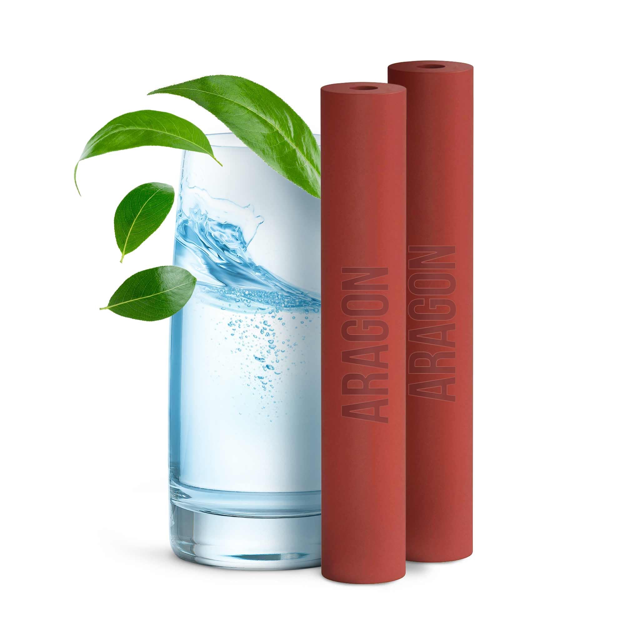 Aragon Filterkartusche für Geyser Euro Wasserhahnfilter, Packung mit 2 (6000L)