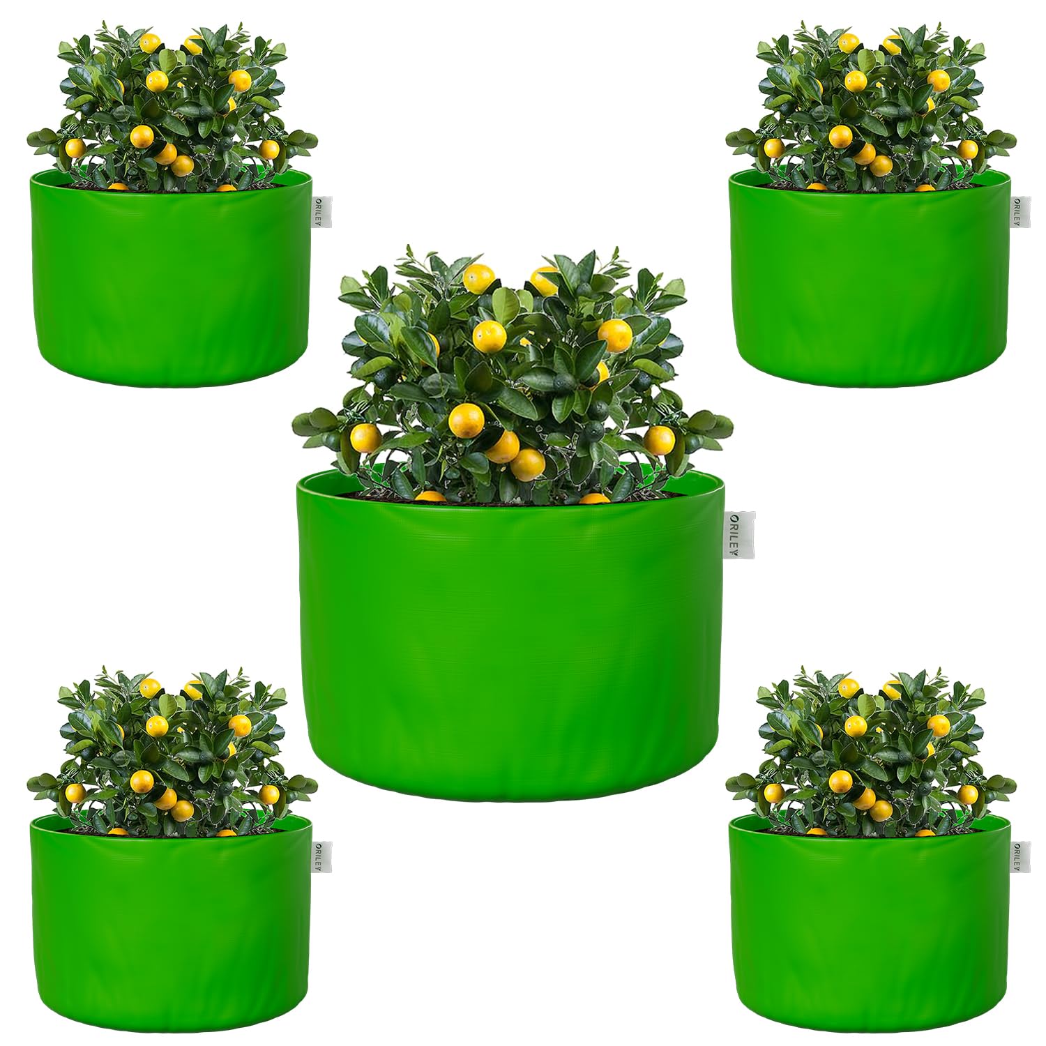 ORILEY Grow Bags 250 GSM 12 x 8 inch Heavy Duty HDPE Plants Flower Growing Bag Floor Standing Mount Type for Home Garden Balcony Terrace Kitchen Nursery (Green, Round Without Handle, Pack of 5)