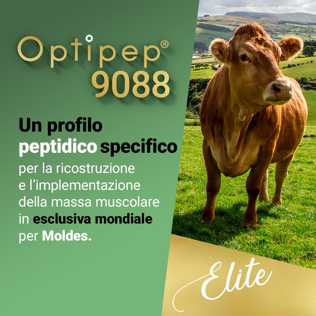 NET Integratori VB WHEY ELITE 104 9.8 Optipep - 900g Mango Passion Fruit - Proteine Isolate Idrolizzate per via Enzimatica Con EAA e BCAA - Crescita e Mantenimento Della Massa Muscolare, Post Workout