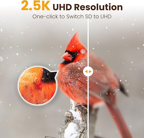 Miniatura 7 de Comedero inteligente para pájaros con cámara verde